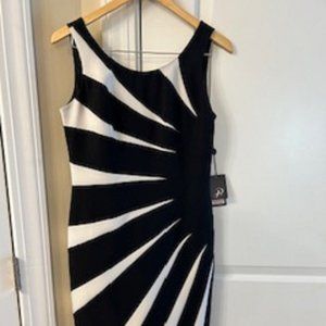 Sleeveless Dress Black & Beige (Brand: Adrianna Papell) Size 8 New